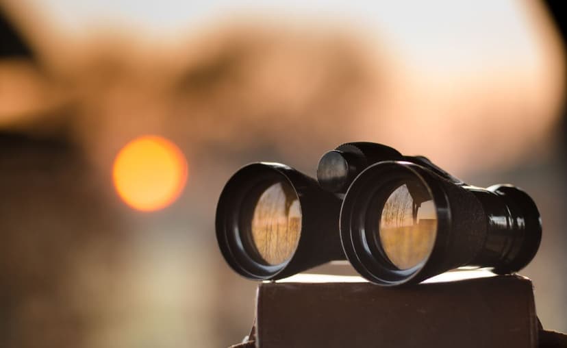 Choosing the Right Candidate: Seeing Potential More Clearly