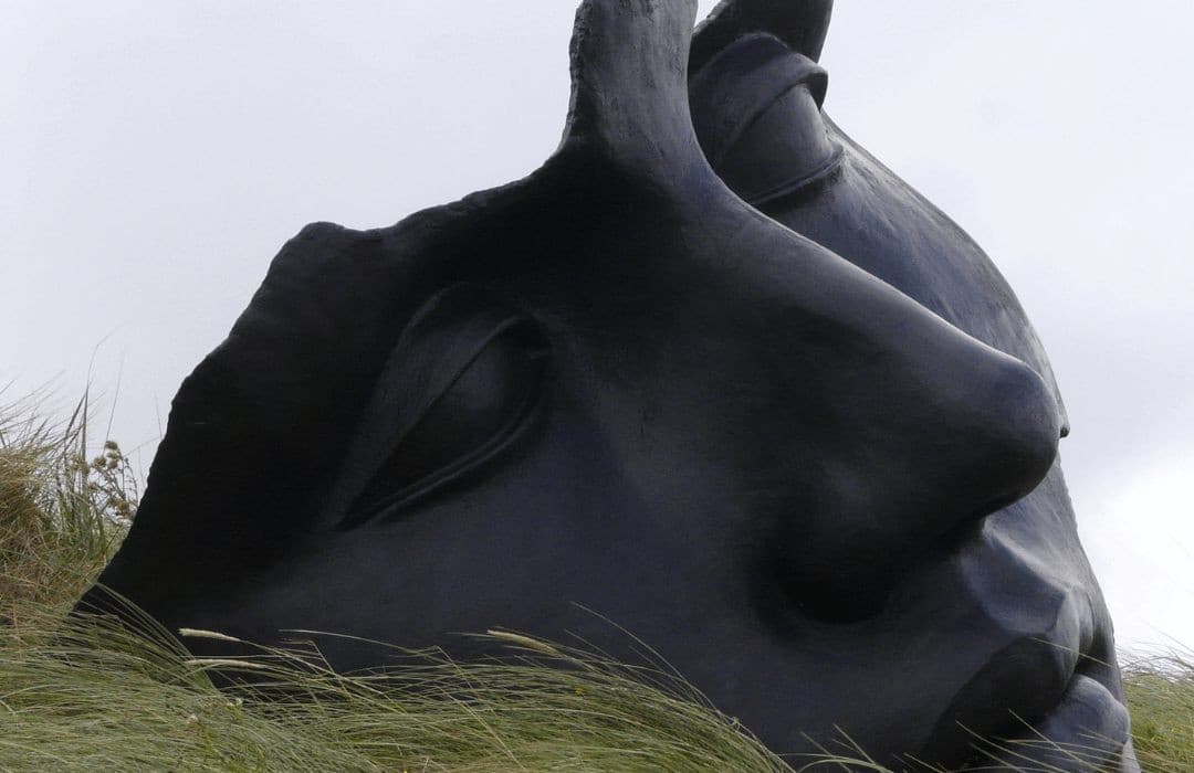 Beynin En Mutlu Hali