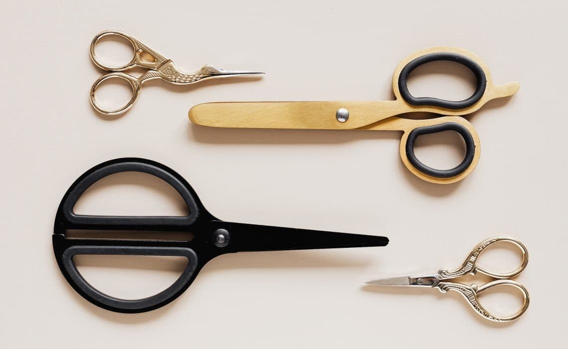 Aslında Aynıyız, Yalnızca Farklı Dünyalara Doğduk