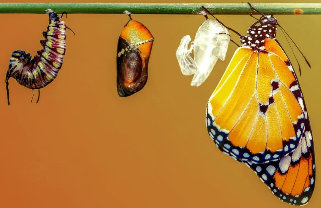 Bu Şirkette Kendim Olamıyorum!