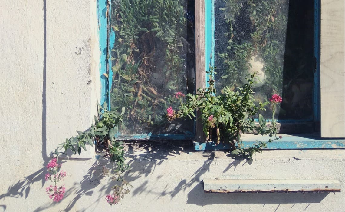 BIFED Diaries and Talentra’s Talk