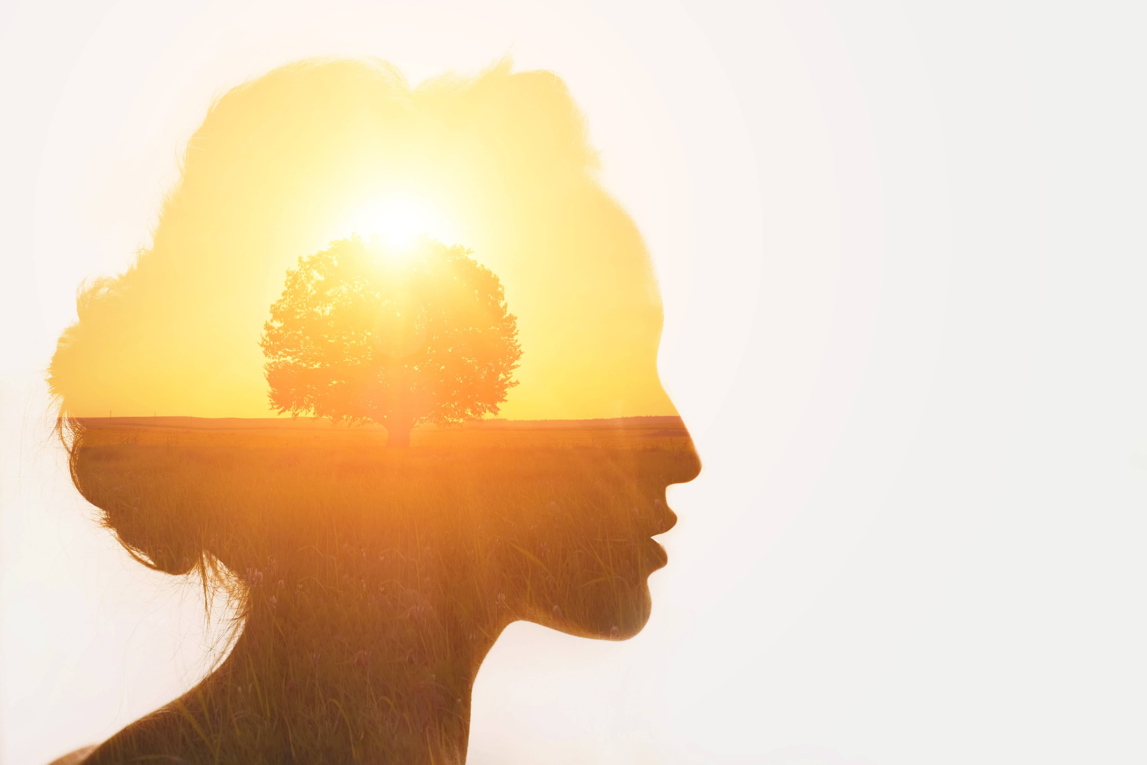 Yeşil İşler ve Geleceği