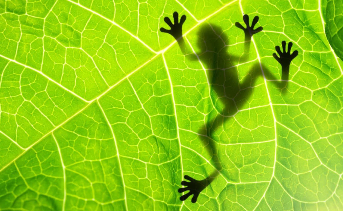 Talent'i Geri Kazanmak – 3. Bölüm