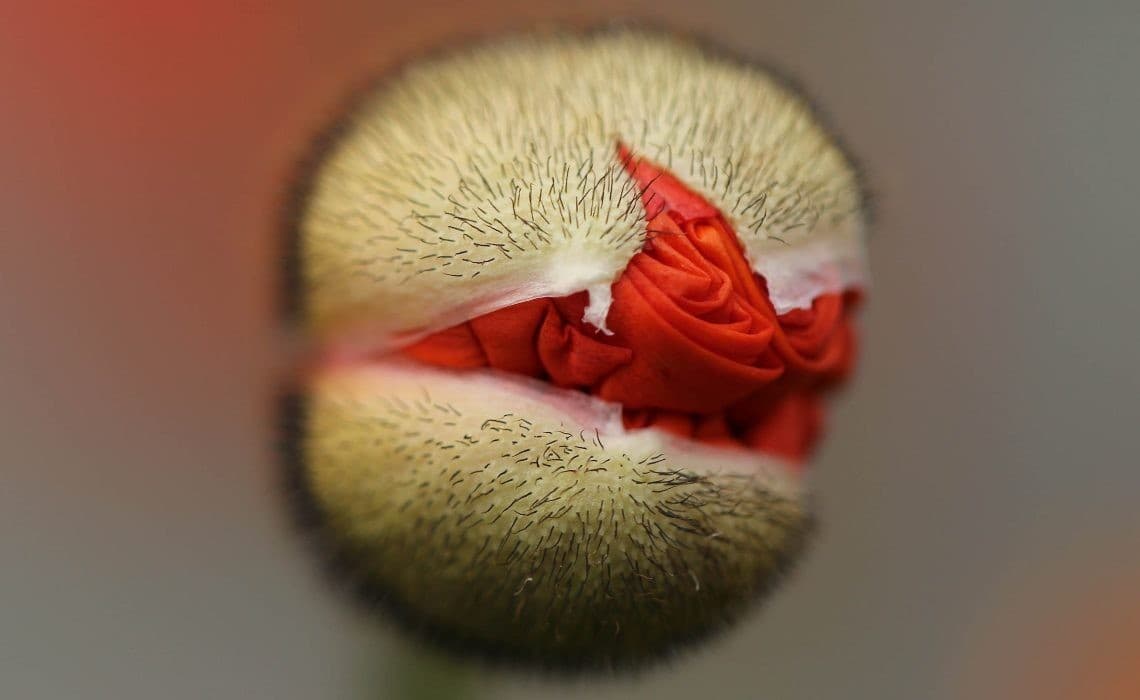 Günde 1 Doz Motivasyon