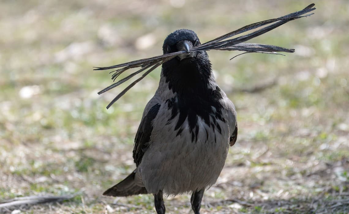 On the Value of Labor