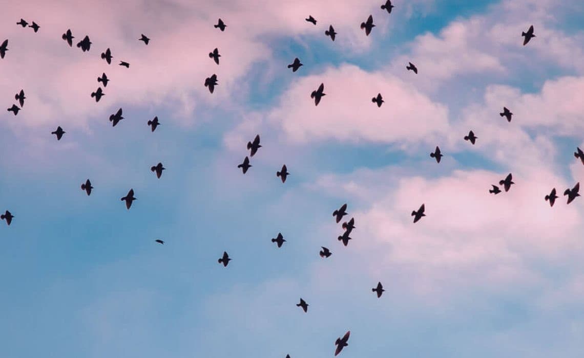 Yeni Başlangıçlar, İş Dünyasında Göç Mevsimi