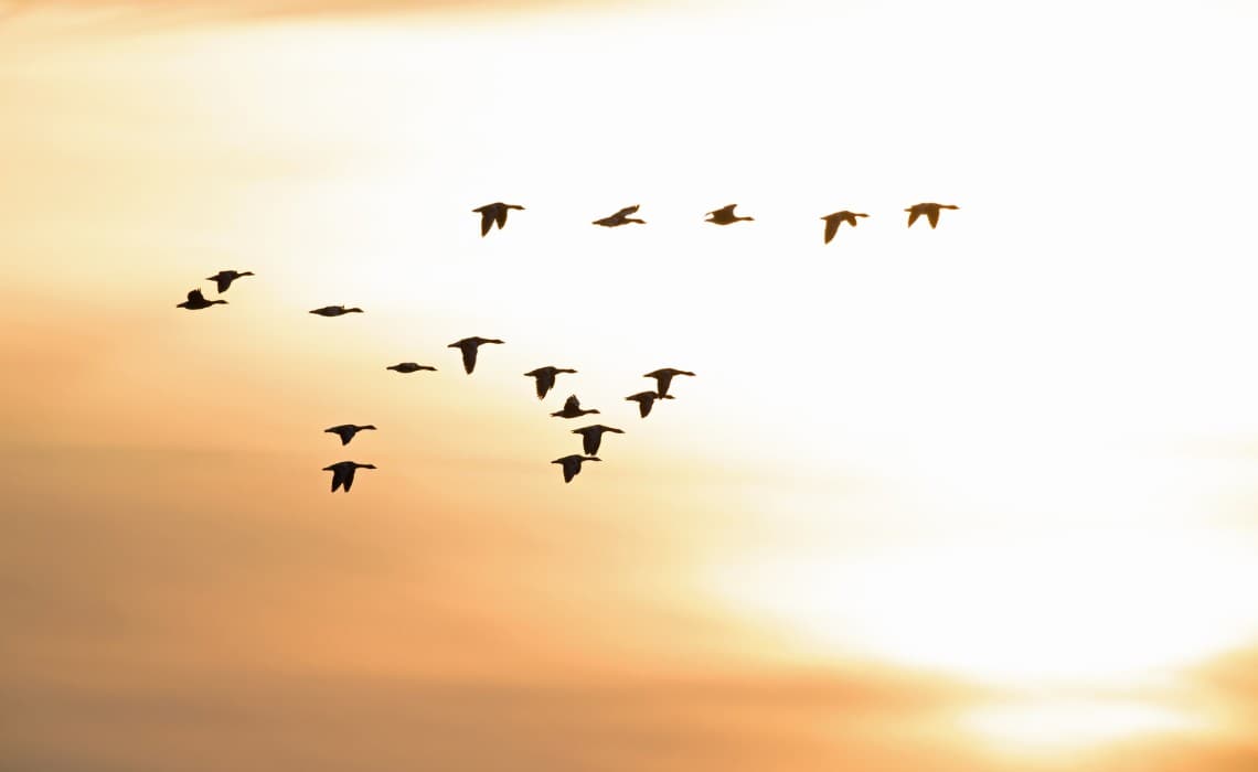 Talentra Blog: Panorama of 2023